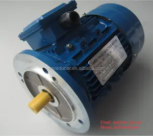 Motor 3 Fase/Motor AC Tiga Fase/Mesin/Gearbox dengan Motor