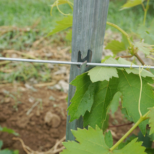 Poste métallique en vinyle galvanisé, nouveauté, approvisionnement directe depuis l'usine, dure longtemps - Product Image 4