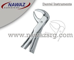Forceps d'extraction dentaire Fig86 B Manuel Certifié CE Acier inoxydable de haute qualité Logo personnalisé Instruments dentaires - Product Image 2