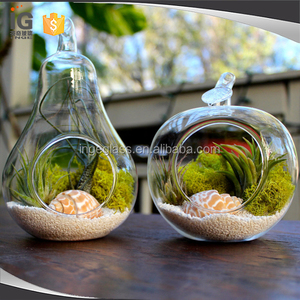 <span class=keywords><strong>Terrarium</strong></span> en forme de pomme/de perle, plante d'intérieur succulente, <span class=keywords><strong>Terrarium</strong></span> - Product Image 1