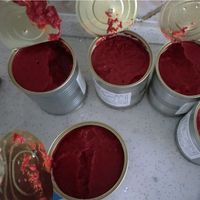 Pâte de tomate, 70g, en pot de ml, prix en conserve
