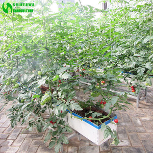 Tunnel Kas/Kokosnoot Teelt Apparatuur/Indoor Hydrocultuur Teeltsystemen - Product Image 2