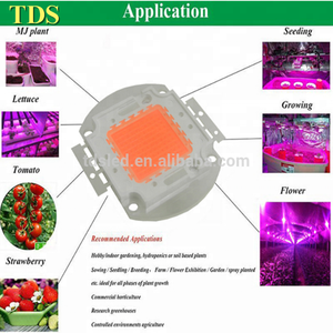 380nm - 400nm - 840nm Quang Phổ Đầy Đủ 50W Nguồn Led Công Suất Cao - Product Image 4