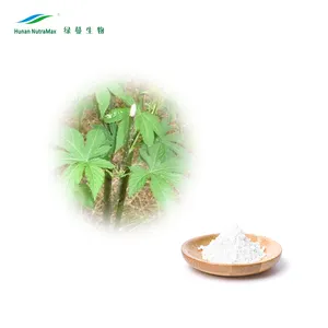 Estratto di foglie di mora dolce cinese Rubusoside 70% 80% estratto di tè dolce