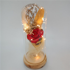 <span class=keywords><strong>Rose</strong></span> éternelle rouge dans un dôme en verre, œillets artificiels dans un dôme en verre avec lumière LED, cadeau pour les fêtes - Product Image 6