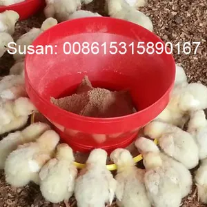 Automatic Turbo Type Chicken Feeder