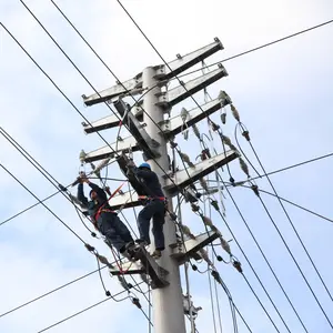 13,8 kV Strom mast mit 500kg Design ladung für den philippi nischen Markt