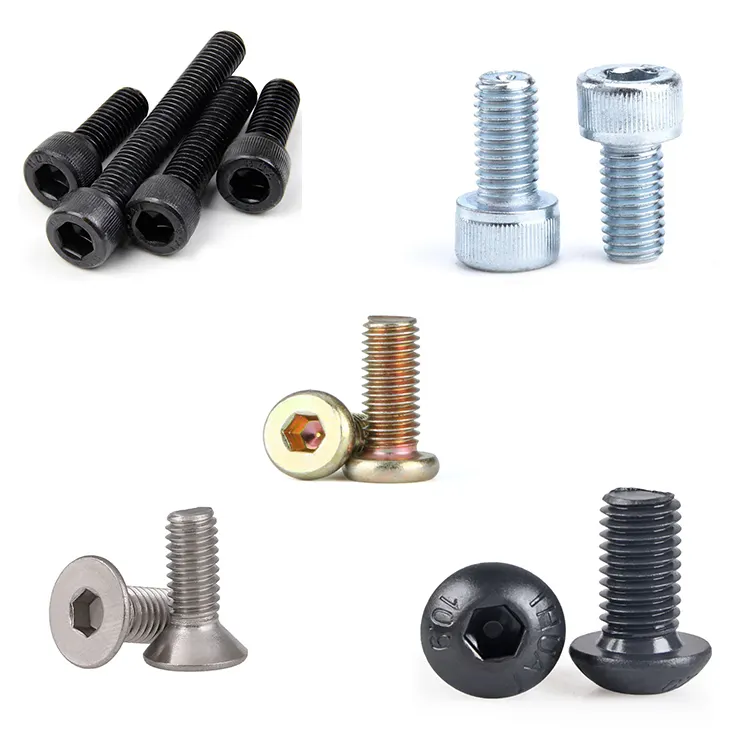 All Kinds Of Head Type And Black Sliver M5 Cap Screw