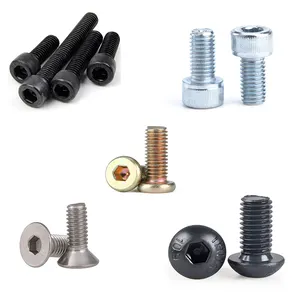 All kinds of head type and black sliver M5 cap screw