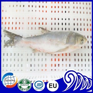 Chine Frais Congelé Asiatique <span class=keywords><strong>Poisson</strong></span> Carpe <span class=keywords><strong>Argent</strong></span>é - Product Image 6