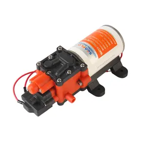 SEAFLO 12V water pump lithium battery 12v 100ah mini pump boat engine For Boat