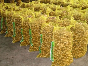 Gừng Khô Xuất Khẩu Với Giá Chất Lượng Hàng Đầu! - Product Image 5