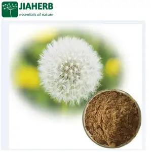 JIAHERB 18 Years 6 Factories Offer 100% Pure Natural Plant Extract Dandelion Extract 10-1 Taraxacum officinale Full Certificate