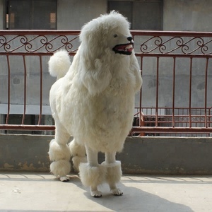 <span class=keywords><strong>Vie</strong></span> Taille Blanc Caniche Animaux Mannequin Chien Mannequin Pour L'affichage de La Fenêtre Partie Décoration Et Cadeaux - Product Image 1