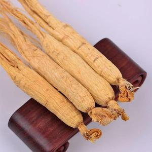 Ücretsiz Örnek Tonik Satın Ginseng kökü Changbaishan Ginseng - Product Image 3