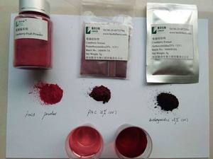 HALAL Kosher ISO chứng nhận thực phẩm vaccinum macrocarpon L. Cranberry trái cây chiết xuất bột 25% proanthocyanidins anthocyanins UV - Product Image 5