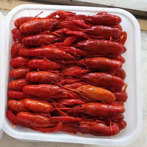กุ้งเครย์ฟิช/กุ้งแม่น้ำแช่แข็งทั้งตัว ฤดูกาลใหม่ - Product Image 4