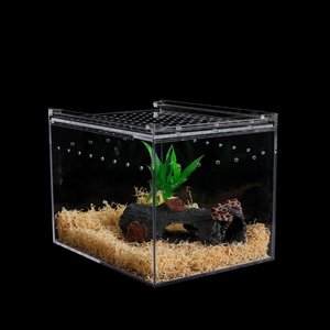 Terrario in Plexiglass per Rettili, Gabbia in Acrilico per Ragni, Lucertole, Gechi e <span class=keywords><strong>Serpenti</strong></span> - Product Image 2