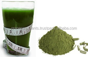 USDA Orgánico Natural Seco Moringa Oleifera Polvo Extracto Cuidado DE LA SALUD Suministro - Product Image 2