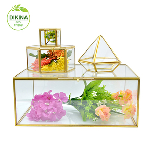 <span class=keywords><strong>Boîte</strong></span> de luxe en <span class=keywords><strong>laiton</strong></span> pour photo, forme ronde, cœur hexagonal, Rectangle, cylindre en <span class=keywords><strong>verre</strong></span>, fleur, cadeau, USB, <span class=keywords><strong>bijoux</strong></span>, chapeau, vente en gros, pièces - Product Image 4