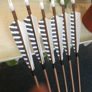 <span class=keywords><strong>Frecce</strong></span> di bambù Con La Spirale Turchia Fletchings <span class=keywords><strong>Frecce</strong></span> <span class=keywords><strong>Arco</strong></span> - Product Image 5