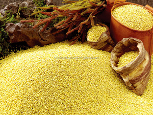 De <span class=keywords><strong>soja</strong></span>/riz/Haricots verts Machine À Laver/Acier Inoxydable Grain Machine À Laver - Product Image 6