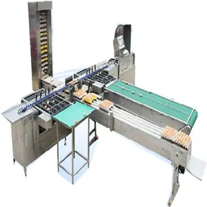 Industrial egg processing line / egg washing/grading/packing machine