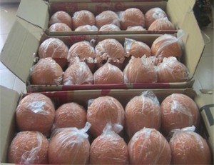 Bola Pembersih Pipa Beton Karet Spons Berkualitas Tinggi dengan Kepadatan Lembut/Sedang/Keras Tahan Panas hingga 70C Garansi 2 Tahun - Product Image 5