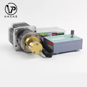 Tính sẵn sàng cao thiết kế mới điện 24V DC chuyển nước từ thép không gỉ nội bộ thương mại bánh răng động cơ bơm