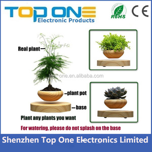 Fábrica de la venta directa de levitación flotando en el aire <span class=keywords><strong>bonsai</strong></span> para la decoración de interior - Product Image 2