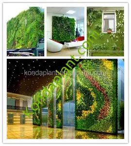 Chine grossiste mur artificiel de plantes vertes pour la décoration, bricolage mur vert, mur vertical systèmes verts