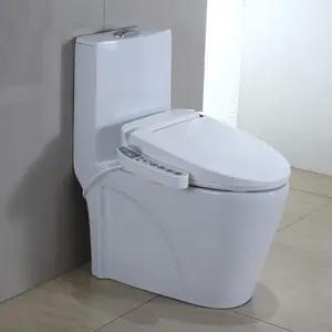Vaso sanitário elétrico inteligente, utensílios de banheiro feitos na china, spray de vaso sanitário de cerâmica com assento aquecido