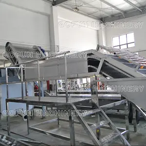 Fruit vegetable washing and sorting machine