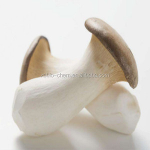 Extracto de Pleurotus <span class=keywords><strong>Eryngii</strong></span> Polisacárido 100% Natural de Alta Calidad, Estándar GMP, Grado Alimenticio, Polvo de Fruta Envasado al Vacío en Tambor - Product Image 5