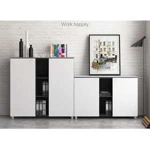 Modern Office Low Document Storage Cabinet Design