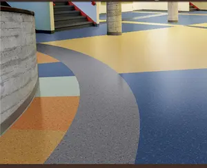 用于商业场所的幼儿园 PVC 乙烯基地板地毯