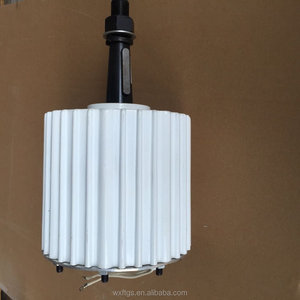 1000w 수제 영구 자석 발전기 - Product Image 4