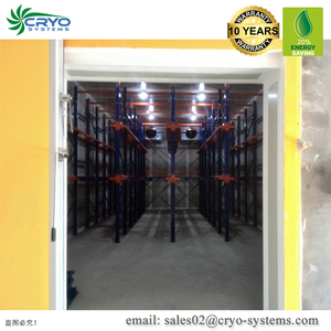 Congelados pez <span class=keywords><strong>anguila</strong></span> internacional de cámara frigorífica empleos cámara frigorífica casera congelador - Product Image 2