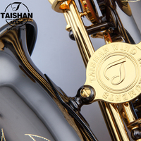 Professional Alto Saxophone with Black Nickel Body and Gold Lacquer Surface Eb Tone Music Instrument