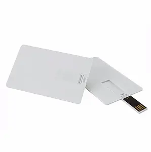 Ücretsiz örnek USB Flash sürücü ile özel logo 2GB 4GB 8GB 16GB Memoria kartı USB