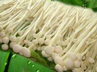 Detan свежие <span class=keywords><strong>Flammulina</strong></span> <span class=keywords><strong>velutipes</strong></span> гриб - Product Image 4