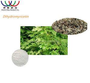 Suplemento Alimenticio Protector del Hígado <span class=keywords><strong>Myrica</strong></span> <span class=keywords><strong>Rubra</strong></span> (Lour.) Zucc. Extracto de Té de Vid DMY 98% Dihidromiricetina en Polvo - Product Image 2
