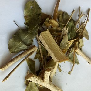 Murraya <span class=keywords><strong>paniculata</strong></span> seca, naranja, jazmín, sin procesar, alta calidad, hojas para té - Product Image 6