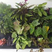 Système de mur vert de jardin vertical modulaire