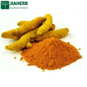 Jiaherb, 18 anos 6 fábricas oferecem 100% extrato de planta natural pura curcuma longa 95% curcumina (hplc)