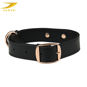 Fournitures Accessoires pour animaux de compagnie Conception en gros Collier de chien personnalisé avec logo - Product Image 2