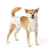 Solução simples fácil descartável fraldas de cachorro femininas