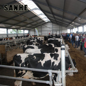 Capannone in Struttura d'Acciaio per Allevamento di Bovini da Latte - Product Image 4