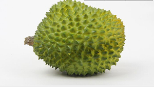 Dekorasi Toko Mainan Durian Palsu Kualitas Tinggi - Product Image 2