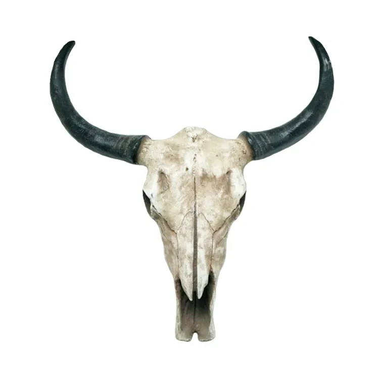 Großhandel Harz Tierkopf Buffalo Custom Longhorn Kuh schädel
